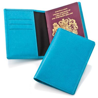 Vivid Passport Wallet